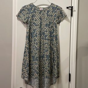 LulaRoe Carly swing dress.